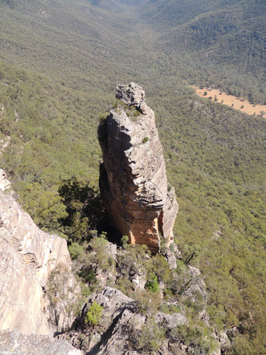  - Gindantherie Pinnacle